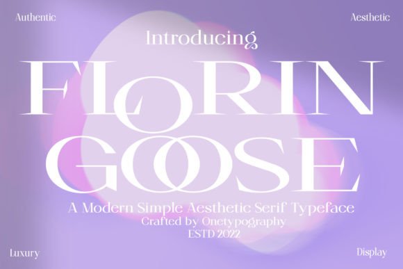 How Florin Goose Font Elevated My Brand's Visual Identity