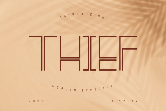 Thief: The Sleek Display Font for Campaign Creatives